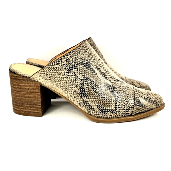 Snake Print Slip on Shoe with Contrasting Heel